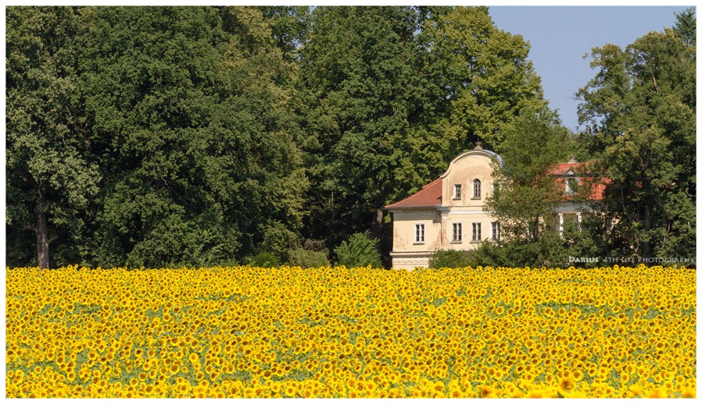 Zdjęcia: Posterstein, Sachsen, House in the fields, NIEMCY Zdjęcia: Posterstein, Sachsen, House in the fields, NIEMCY