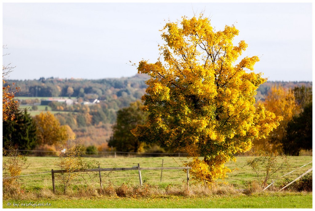 Zdjęcia: Bad Honnef, Rheinland, Herbstlicht, NIEMCY Zdjęcia: Bad Honnef, Rheinland, Herbstlicht, NIEMCY