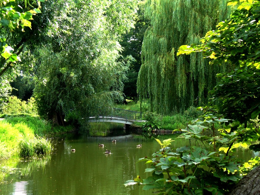 Zdjęcia: Berlin, Brandenburgia, Mostek parkowy, NIEMCY Zdjęcia: Berlin, Brandenburgia, Mostek parkowy, NIEMCY