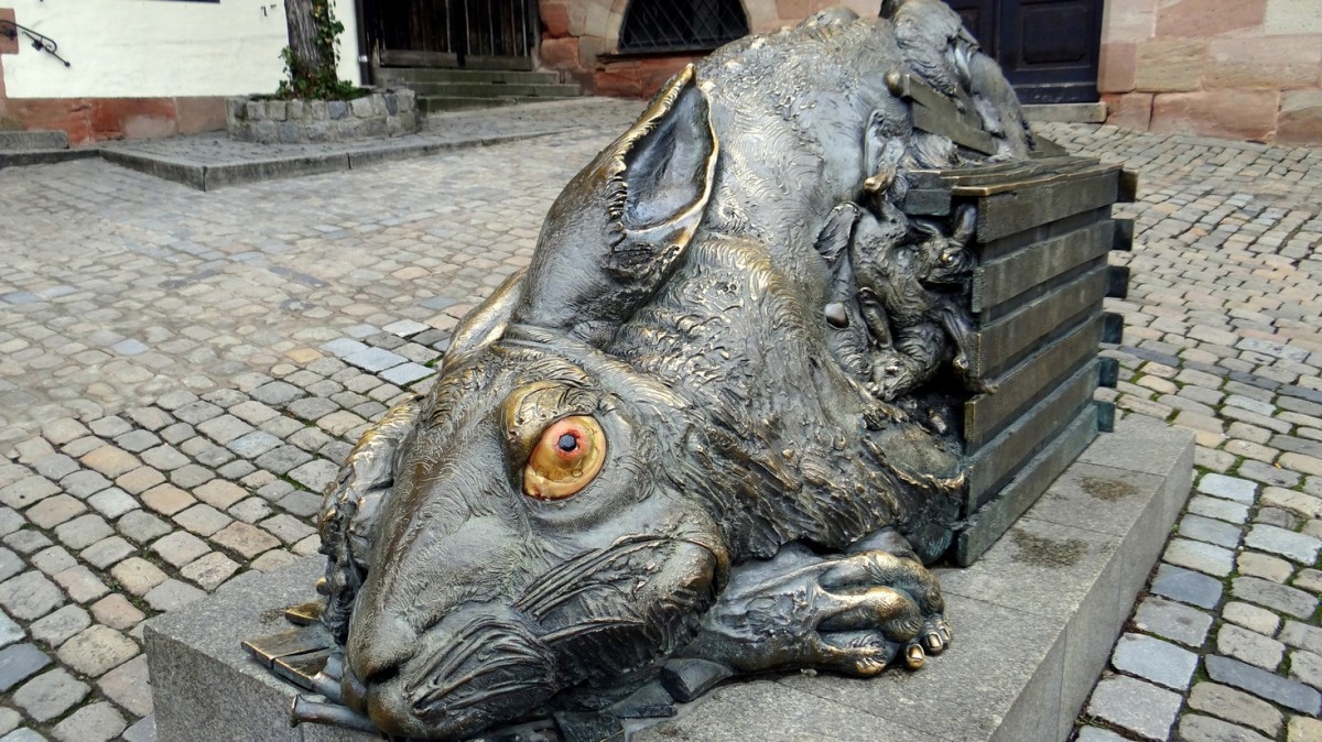 Zdjęcia: Nürnberg, Bayern , Jednooki zając, NIEMCY Zdjęcia: Nürnberg, Bayern , Jednooki zając, NIEMCY