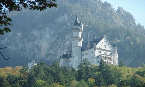 Zdjęcie NIEMCY / Bawaria / Shwarzwald / zamek neuschwanstein