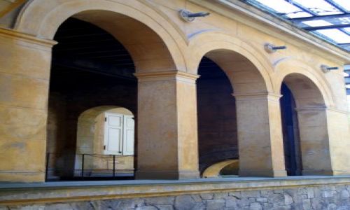 Zdjęcie NIEMCY / Brandenburgia / Potsdam / Spacer po parku
