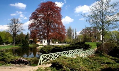 Zdjęcie NIEMCY / Brandenburgia / Potsdam / Spacer po parku