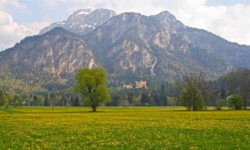 Zdjcie NIEMCY / Bayern / Fussen / Fussen