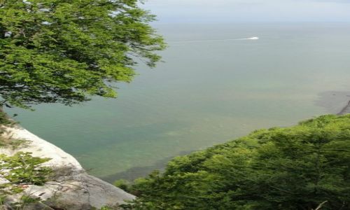 Zdjecie NIEMCY / - / Nationalpark Jasmund / widok z klifu