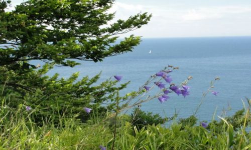 Zdjecie NIEMCY / - / Nationalpark Jasmund / widok z klifu