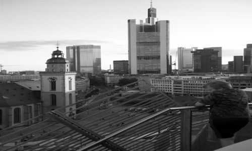 Zdjecie NIEMCY / Hesja / Frankfurt / Frankfurt nad Menem