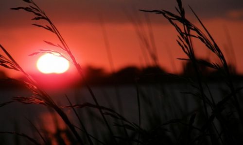 Zdjecie NIEMCY / - / Gluckstadt / sunset