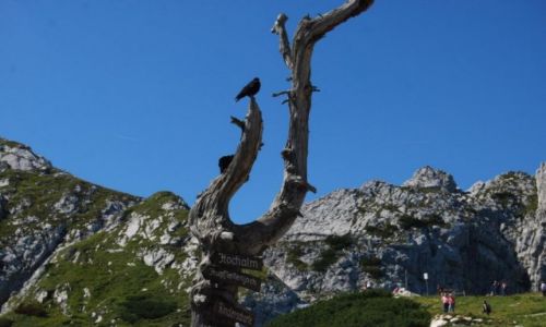 Zdjecie NIEMCY / Alpy / Garmish Partenkirchen / Alpy Bawarskie