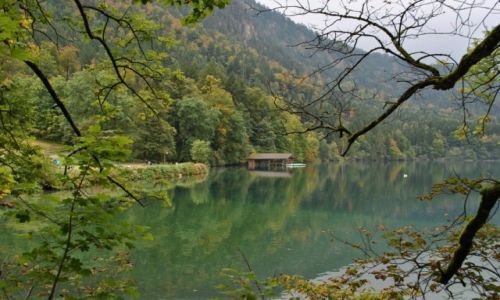 Zdjęcie NIEMCY / Bawaria / Hohenschwangau / Alpsee