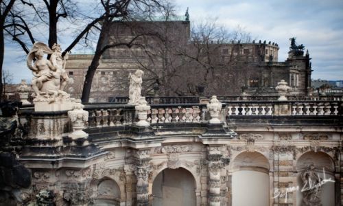 Zdjcie NIEMCY / Saksonia / Drezno / Zwinger
