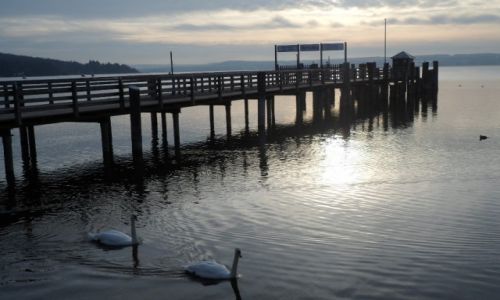 Zdjecie NIEMCY / Bawaria / Herrsching am Ammersee / abdzie