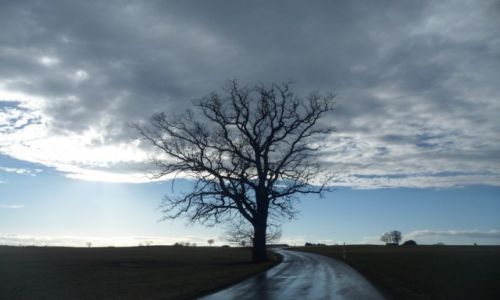 Zdjcie NIEMCY / Bawaria / Frieding / NA  ZAKRCIE