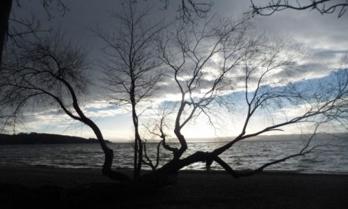Zdjcie NIEMCY / Bawaria / Herrsching am Ammersee / CZAS NA RELAX