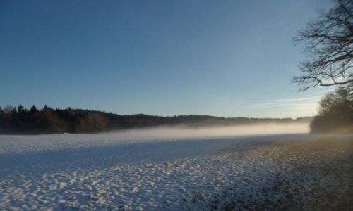 Zdjcie NIEMCY / Bawaria / Frieding / POPOLUDNIOWA MGLA