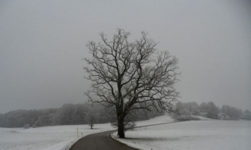 Zdjcie NIEMCY / Bawaria / Frieding / ZIMA