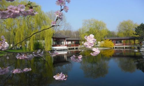 Zdjecie NIEMCY / Marzahn-Hellersdorf / Berlin / Azja w Niemczech