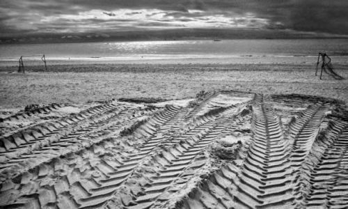Zdjecie NIEMCY / Wyspy Fryzyjskie / wyspa Norderney / Faktury