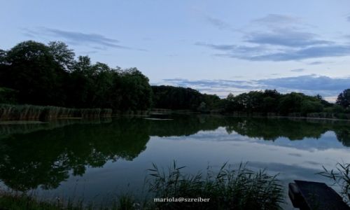 Zdjecie NIEMCY / Bawaria / BAWARIA / bo... lato jest piekne