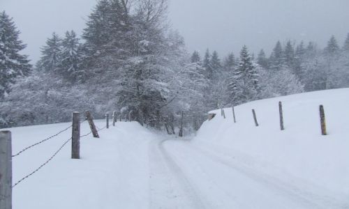 Zdjecie NIEMCY / Bawaria / Bolsterlang / Bawarska zima