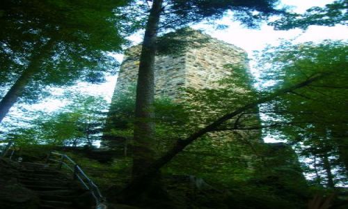Zdjęcie NIEMCY / schwarzwald / wieladingen / ruiny wieladingen