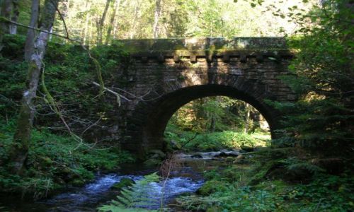 Zdjęcie NIEMCY / schwarzwald / murg / rzeczka murg