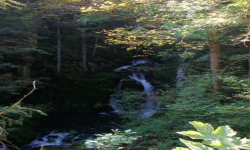 Zdjęcie NIEMCY / schwarzwald / murg / wodospad malej murg