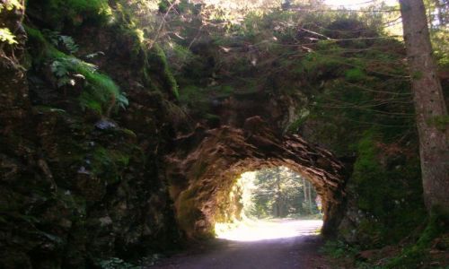 Zdjęcie NIEMCY / schwarzwald / murg / felsen tunel