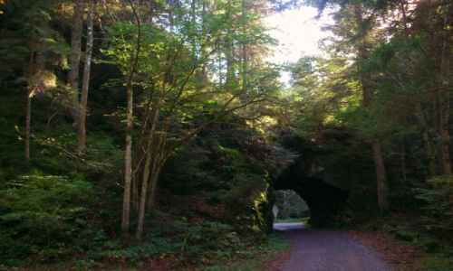 Zdjęcie NIEMCY / schwarzwald / murg / tunelik