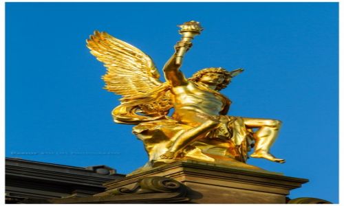 Zdjecie NIEMCY / Sachsen / Dresden / Engel