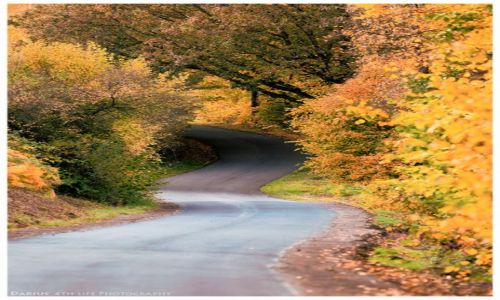 Zdjcie NIEMCY / Rheinland / Bad Honnef / Landstrasse