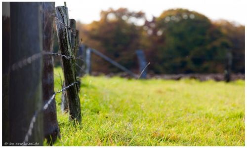 Zdjcie NIEMCY / Rheinland / Bad Honnef / Farmland