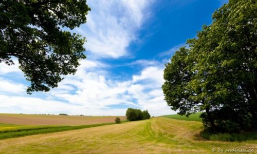 Zdjęcie NIEMCY / Sachsen / Görlitz / Landschaft
