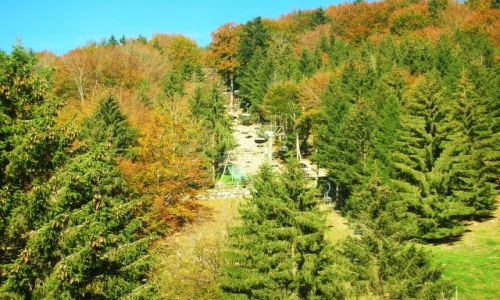 Zdjcie NIEMCY / schwarzwald / oberried / park natury i rozrywki