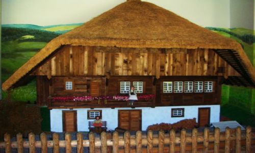 Zdjcie NIEMCY / schwarzwald / oberried / park natury i rozrywki