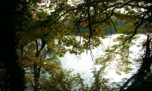 Zdjęcie NIEMCY / baden-württenberg / nad renem / jesien nad renem