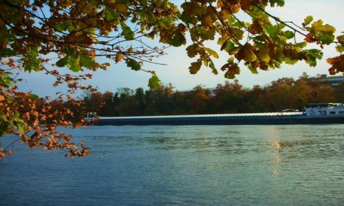 Zdjęcie NIEMCY / baden-württenberg / nad renem / jesien nad renem