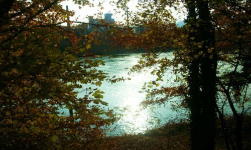 Zdjęcie NIEMCY / baden-württenberg / nad renem / jesien nad renem
