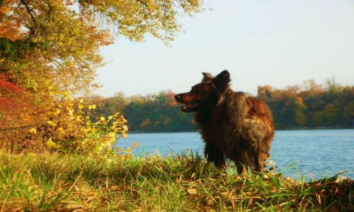 Zdjecie NIEMCY / baden-wrttenberg / wyhlen / 