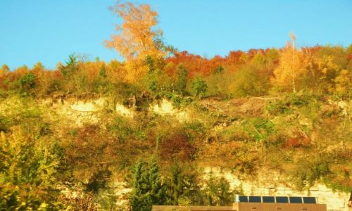 Zdjęcie NIEMCY / baden-württenberg / wyhlen /