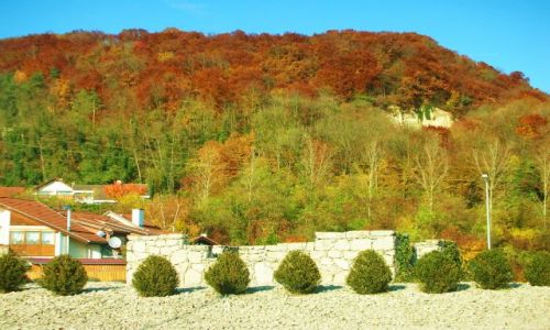 Zdjęcie NIEMCY / baden-württenberg / wyhlen /