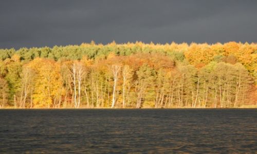Zdjcie NIEMCY / wyspa Uznam / jezioro Wolgast / w socu