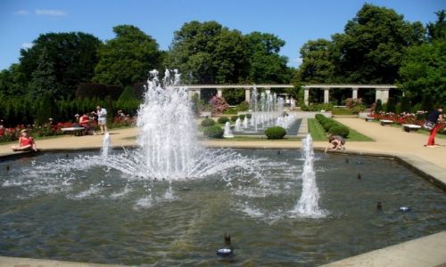 Zdjęcie NIEMCY / Brandenburgia / Forst / W ogrodzie różanym