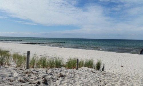 Zdjecie NIEMCY / Ostsee / Zingst / Morze