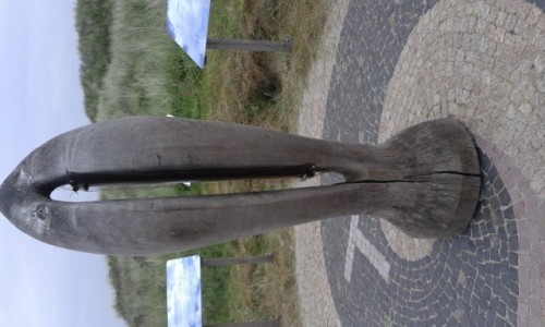 Zdjcie NIEMCY / - / Juist / Juist