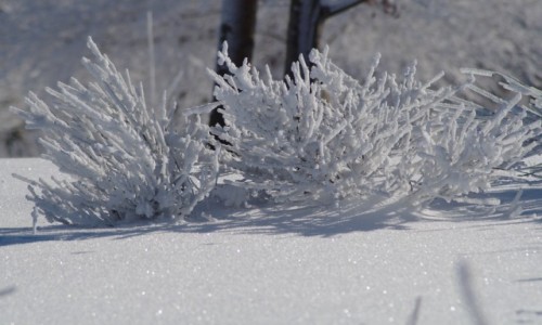 Zdjęcie NIEMCY / westfalia / Winterberg / - zimowe klimaty -