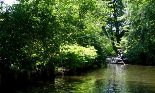 Zdjcie NIEMCY / Szprewaldzie / Spreewald / odzi po kanaach