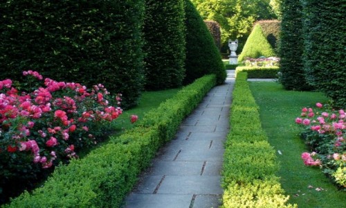 Zdjęcie NIEMCY / Nederlausic / Forst / Aleja w ogrodzie różanym