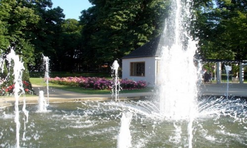 Zdjęcie NIEMCY / Nederlausic / Forst / Fontanny w ogrodzie rózanym