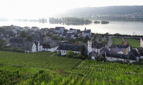 Zdjęcie NIEMCY / Hessen / Rüdesheim am Rhein / O poranku